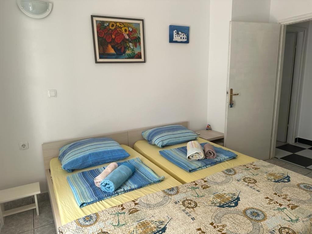 Marina Apartmani Tisno Murter 外观 照片